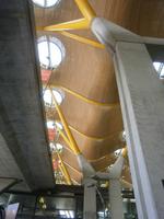 9-VII-2010