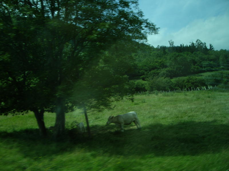 Viaje Xus annA 003390.jpg