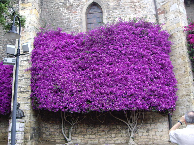 Viaje Xus annA 004950.jpg