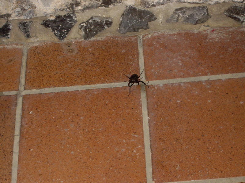 Viaje Xus annA 005480.jpg