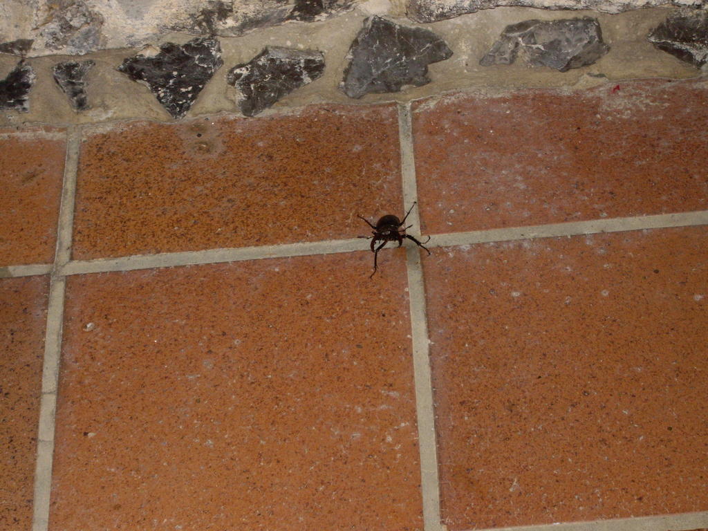 Viaje Xus annA 005480.jpg