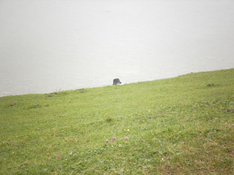 Viaje Xus annA 005760.jpg