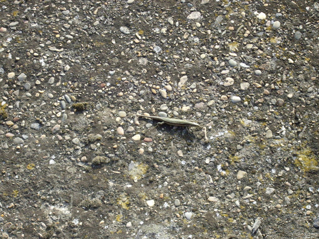 Viaje Xus annA 007520.jpg