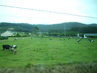 Viaje Xus annA 008120.jpg