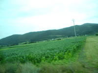 Viaje Xus annA 008140.jpg
