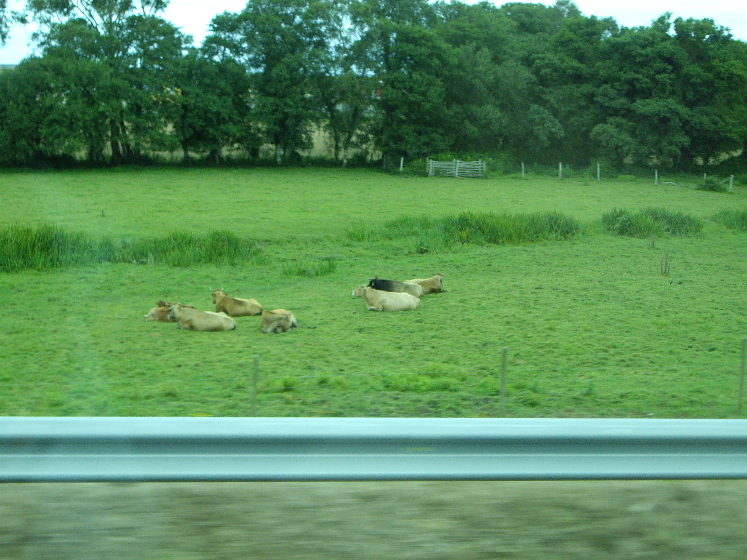 Viaje Xus annA 008700.jpg
