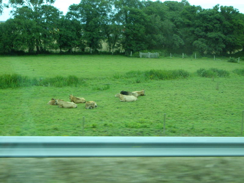Viaje Xus annA 008700.jpg