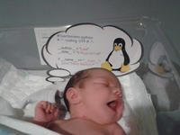 Laia
